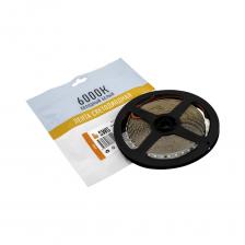 Светодиодная лента SWG SMD 2835, 126 LED/м, 13 Вт/м, 24В, IP20, Холодный белый 00-00005852 Светодиодная лента SWG SMD 2835, 126 LED/м, 13 Вт/м, 24В, IP20, Холодный белый 00-00005852