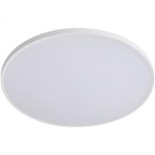 Светильник светодиодный настенно-потолочный Lightstar Arco Eco 225720 Светильник светодиодный настенно-потолочный Lightstar Arco Eco 225720