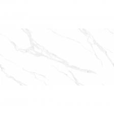 Плитка Absolut Gres Carrara Bianco AB 3116G 60х120 см Плитка Absolut Gres Carrara Bianco AB 3116G 60х120 см