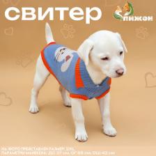 Свитер для животных «Зайка», 2XL (ДС 34, ОШ 34, ОГ 32-51 см) Свитер для животных «Зайка», 2XL (ДС 34, ОШ 34, ОГ 32-51 см)