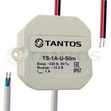 TS-1A-U-Slim Tantos Блок питания TS-1A-U-Slim Tantos Блок питания