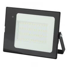 Прожектор светодиодный Эра LPR-041-1-65K-050 с датчиком движения Б0043576 Прожектор светодиодный Эра LPR-041-1-65K-050 с датчиком движения Б0043576