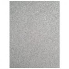 обои ATELIERO п/окраску на флиз. основе антивандальные 125 г/м2 25х1,06м, арт.2511АВ-125 обои ATELIERO п/окраску на флиз. основе антивандальные 125 г/м2 25х1,06м, арт.2511АВ-125