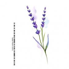 Наклейки для тела ПОЛИСФЕРА Временная переводная татуировка Tattoo PS&KG-071 Наклейки для тела ПОЛИСФЕРА Временная переводная татуировка Tattoo PS&KG-071