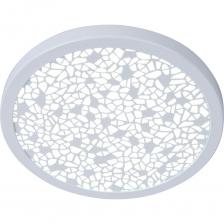 Светодиодный светильник De Fran 4000K 220В 6Вт 500Лм белый+ акрил (WH), DC035 WH SMD Светодиодный светильник De Fran 4000K 220В 6Вт 500Лм белый+ акрил (WH), DC035 WH SMD