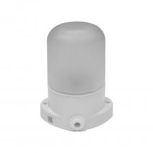 Светильник Везувий для сауны (Белый, арт.400) Прямой Светильник Везувий для сауны (Белый, арт.400) Прямой