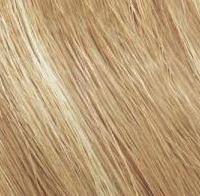 Перманентный краситель-лак Color Gels Lacquers (P1549501, 9NW, крем-сода, 60 мл) Перманентный краситель-лак Color Gels Lacquers (P1549501, 9NW, крем-сода, 60 мл)