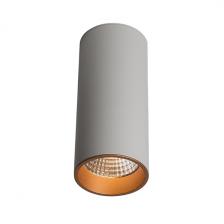 Накладной светодиодный светильник Ledron SLC7392/12W White-Gold Накладной светодиодный светильник Ledron SLC7392/12W White-Gold