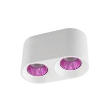 Накладной светильник Denkirs DK3020WPI DK3096-WH+PI Цвет плафонов белый Накладной светильник Denkirs DK3020WPI DK3096-WH+PI Цвет плафонов белый