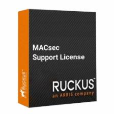 Лицензия Ruckus MACsec Support License for ICX