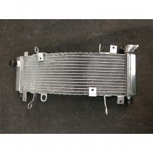 Для 1998-2003 Suzuki TL1000R TL 1000 R алюминиевый радиатор Охлаждающая охлаждающая жидкость 1998 1999 2000 2001 2002 2003 Для 1998-2003 Suzuki TL1000R TL 1000 R алюминиевый радиатор Охлаждающая охлаждающая жидкость 1998 1999 2000 2001 2002 2003