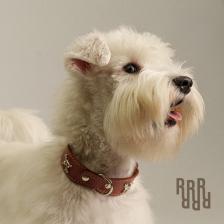 RURRI Ошейник кожаный с украшением Собака 20мм 30-42см коричневый RURRI Ошейник кожаный с украшением Собака 20мм 30-42см коричневый