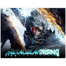 Metal Gear Rising: Revengeance Metal Gear Rising: Revengeance