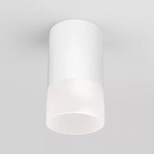 Уличный светодиодный светильник Elektrostandard Light Led 35139/H белый a057157 Уличный светодиодный светильник Elektrostandard Light Led 35139/H белый a057157