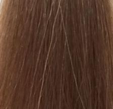 Краска-блеск без аммиака для тонирования и ухода Shades Eq Gloss (P0487502, 9T, 9T, 60 мл) Краска-блеск без аммиака для тонирования и ухода Shades Eq Gloss (P0487502, 9T, 9T, 60 мл)