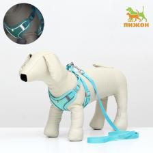 Шлейка с поводком, размер M, ОШ 44-48 ОГ 51-60 с, поводок 140 см, быстросъёмная, мягкая, бирюзовая Шлейка с поводком, размер M, ОШ 44-48 ОГ 51-60 с, поводок 140 см, быстросъёмная, мягкая, бирюзовая