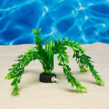 Растение искусственное Растение искусственное