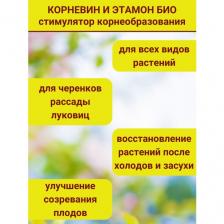 Комплект для рассады. Корневин Стимулятор образования и роста корней, 5 г и Этамон био, 5 г, 5 комплектов Комплект для рассады. Корневин Стимулятор образования и роста корней, 5 г и Этамон био, 5 г, 5 комплектов