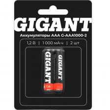 Перезаряжаемые аккумуляторы Gigant размера ААA, емкостью 1000 мАч - 2шт. G-AAA1000-2 характеризуются большим сроком службы, стабильной работой в широком диапазоне температур. Аккумуляторы хорошо работают с такими устройствами, как: игровые мини-приставки, ПДУ, фонарики, часы, компьютерные мышки, фотоаппараты и т. д. Аккумуляторы Gigant выдерживают до 500 циклов перезарядки и могут использоваться при температурах от 0 до +45°C. В отличие от обычных одноразовых элементов питания, которые постепенно теряют напряжение и ухудшают свою работу, эти аккумуляторы держат рабочее напряжение до последнего. Товар сертифицирован. Перезаряжаемые аккумуляторы Gigant размера ААA, емкостью 1000 мАч - 2шт. G-AAA1000-2 характеризуются большим сроком службы, стабильной работой в широком диапазоне температур. Аккумуляторы хорошо работают с такими устройствами, как: игровые мини-приставки, ПДУ, фонарики, часы, компьютерные мышки, фотоаппараты и т. д. Аккумуляторы Gigant выдерживают до 500 циклов перезарядки и могут использоваться при температурах от 0 до +45°C. В отличие от обычных одноразовых элементов питания, которые постепенно теряют напряжение и ухудшают свою работу, эти аккумуляторы держат рабочее напряжение до последнего. Товар сертифицирован.