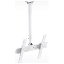 Кронштейн для телевизора Holder PR-101-W белый Кронштейн для телевизора Holder PR-101-W белый