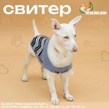 Свитер для животных «Волна», S (ДС 23, ОШ 23, ОГ 26-45 см), голубой Свитер для животных «Волна», S (ДС 23, ОШ 23, ОГ 26-45 см), голубой