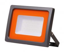 Jazzway Прожектор PFL -SC- 30w 6500K IP65 (матовое стекло) .5001404 Jazzway Прожектор PFL -SC- 30w 6500K IP65 (матовое стекло) .5001404