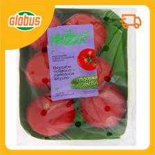 Помидоры Зеленая грядка Помидоры Зеленая грядка