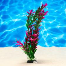 Растение искусственное Растение искусственное