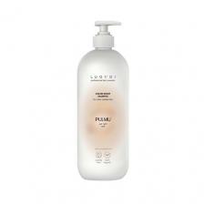 Шампунь для волос LUOVOI Шампунь для сохранения цвета COLOR BOOST PULMU 300 Шампунь для волос LUOVOI Шампунь для сохранения цвета COLOR BOOST PULMU 300