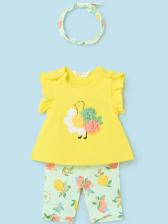 Шорты, Шорты,