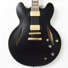 Epiphone Emily Wolfe Sheraton Stealth Semi-Hollow 2022 Black Aged Gloss Epiphone Emily Wolfe Sheraton Stealth Semi-Hollow 2022 Black Aged Gloss