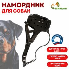 Намордник кожаный цельнокроенный, длина по носу 6.5 см, ОМ 35 см, ротвейлер, чёрный Намордник кожаный цельнокроенный, длина по носу 6.5 см, ОМ 35 см, ротвейлер, чёрный