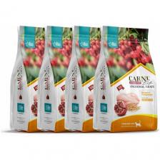 CARNI LIFE Sterilised курица с гранатом и клюквой 1,5кг для стерилиз. кошек х 4шт. CARNI LIFE Sterilised курица с гранатом и клюквой 1,5кг для стерилиз. кошек х 4шт.