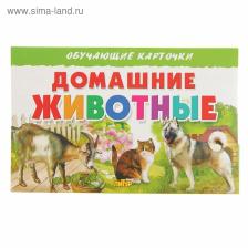 Обучающие карточки «Домашние животные» Обучающие карточки «Домашние животные»