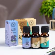 Набор эфирных масел «Лаванда, Жасмин, Ваниль», 10 мл, Богатство Аромата Набор эфирных масел «Лаванда, Жасмин, Ваниль», 10 мл, Богатство Аромата