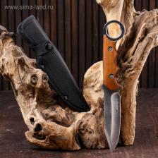 Нож тактический «Торстейн» Мастер К, 25 см, рукоять с кольцом Нож тактический «Торстейн» Мастер К, 25 см, рукоять с кольцом