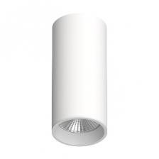 Потолочный светодиодный светильник LeDron SLC7392 SLC7392/12W WHITE 4000K Потолочный светодиодный светильник LeDron SLC7392 SLC7392/12W WHITE 4000K