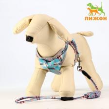 Комплект амуниции с мягкой шлейкой, поводок 120x1 см, ОШ 28-54 см, ОГ 36-60 см, серо-голубой Комплект амуниции с мягкой шлейкой, поводок 120x1 см, ОШ 28-54 см, ОГ 36-60 см, серо-голубой