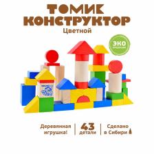 Конструктор деревянный «Цветной» 43 детали Конструктор деревянный «Цветной» 43 детали