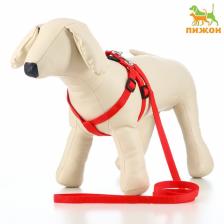 Шлейка с поводком «Базис», 32-46x1.5 см, поводок 120x1.5 см, красная Шлейка с поводком «Базис», 32-46x1.5 см, поводок 120x1.5 см, красная