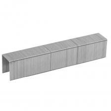 Скобы для степлера Зубр (31620-08_z01) тип 53 8 мм (1000 шт.) Скобы для степлера Зубр (31620-08_z01) тип 53 8 мм (1000 шт.)