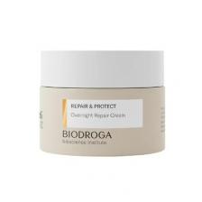 Biodroga Bioscience Institute Repair & Protect Ночной восстанавливающий крем Ночной крем 50 мл — антивозрастной увлажняющий крем для упругой кожи, уменьшения морщин и повышения энергии с комплексом Black Forest Biodroga Bioscience Institute Repair & Protect Ночной восстанавливающий крем Ночной крем 50 мл — антивозрастной увлажняющий крем для упругой кожи, уменьшения морщин и повышения энергии с комплексом Black Forest