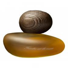 Tendre Est La Nuit Clair Tendre Est La Nuit Clair