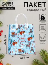 Пакет подарочный новогодний «Холодок», мягкий пластик, 22.5x25.5 см Пакет подарочный новогодний «Холодок», мягкий пластик, 22.5x25.5 см
