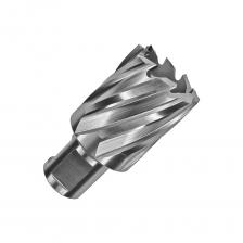 Корончатое сверло по металлу Сверло корончатое HSS по металлу (35х30/63 мм; Weldon 19) D.BOR CD-HSS-030-035-W Корончатое сверло по металлу Сверло корончатое HSS по металлу (35х30/63 мм; Weldon 19) D.BOR CD-HSS-030-035-W