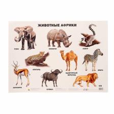 Плакат «Животные Африки» Плакат «Животные Африки»