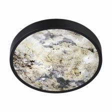 Настенно-потолочный светодиодный светильник Odeon Light Bergi 5064/30L Настенно-потолочный светодиодный светильник Odeon Light Bergi 5064/30L