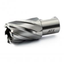 Сверло корончатое HSS AT-S BS3039 предназначено для сверлильных станков на магнитном основании. Применяется для сверления большинства металлов и их сплавов, за исключением сверхпрочных сталей и сплавов.Сверло изготовлено из высококачественной порошковой быстрорежущей стали HSS. Хвостовик – Weldon 19. Для сверления необходимо использовать центрирующий штифт (пилот, направляющая) размер 6.34х77 мм. В комплект поставки не входит и приобретается отдельно.Корончатое сверло обеспечивает высокую производительность и безупречный рез.Внимание, изображение товара может отличаться от реального! Верные параметры указаны в технических характеристиках. Сверло корончатое HSS AT-S BS3039 предназначено для сверлильных станков на магнитном основании. Применяется для сверления большинства металлов и их сплавов, за исключением сверхпрочных сталей и сплавов.Сверло изготовлено из высококачественной порошковой быстрорежущей стали HSS. Хвостовик – Weldon 19. Для сверления необходимо использовать центрирующий штифт (пилот, направляющая) размер 6.34х77 мм. В комплект поставки не входит и приобретается отдельно.Корончатое сверло обеспечивает высокую производительность и безупречный рез.Внимание, изображение товара может отличаться от реального! Верные параметры указаны в технических характеристиках.