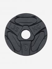 Диск 1.25 кг чугунный Torneo, Черный Диск 1.25 кг чугунный Torneo, Черный