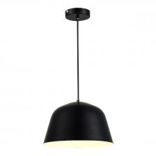 Подвесной светильник Evoluce Blank SLE1805-403-01 Подвесной светильник Evoluce Blank SLE1805-403-01